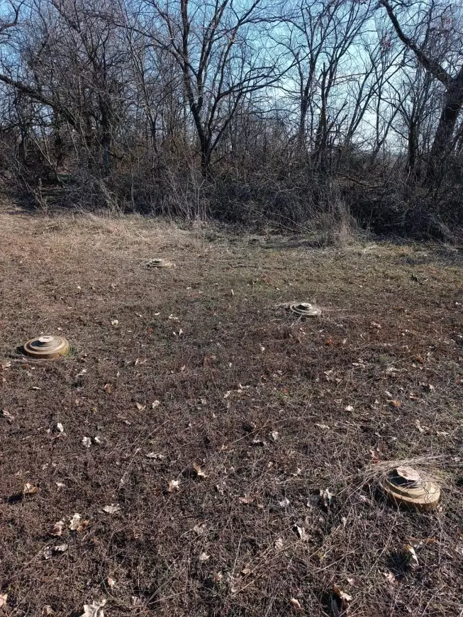 334098602-588554706535860-249540813974607388-n.jpg