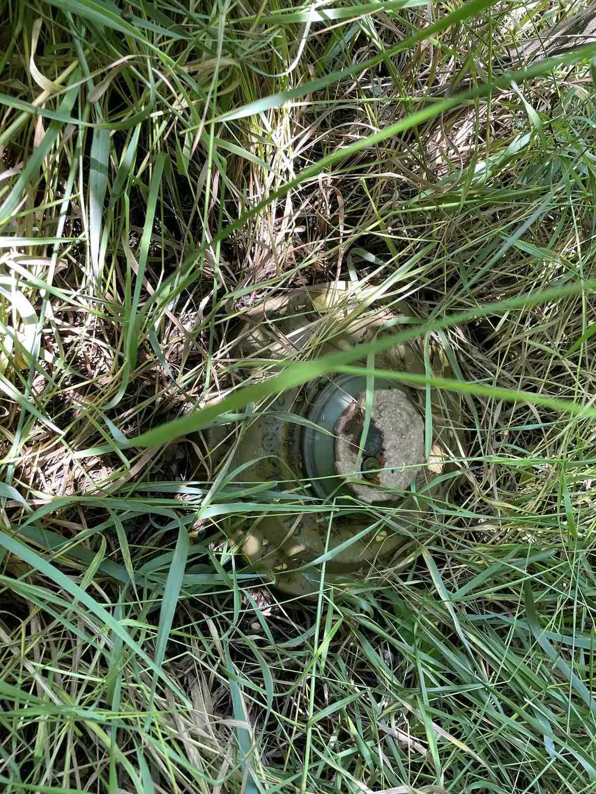 347428939-657744413060991-6259707490840084879-n.jpg