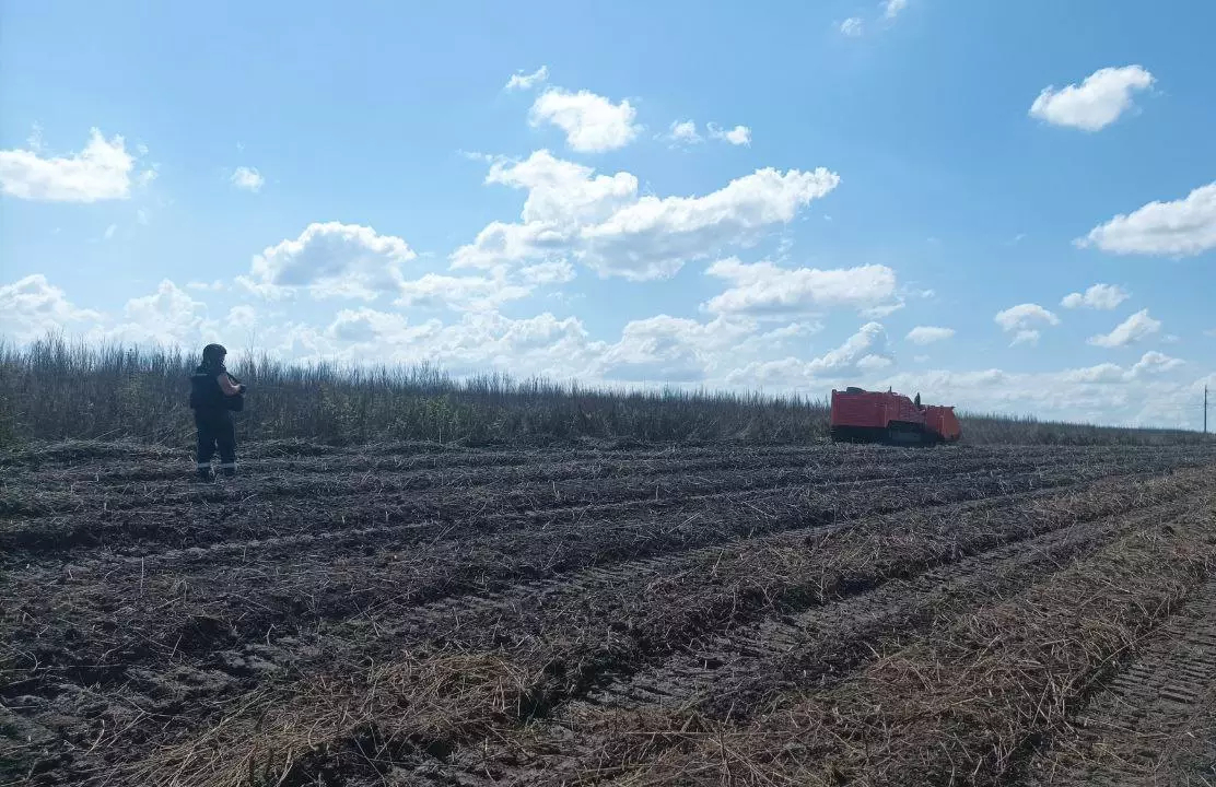 363425467-674101034758662-4064118848059217111-n.jpg