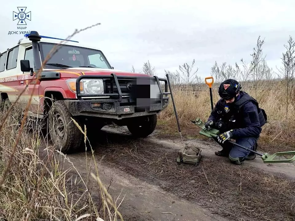 400984017-731950328973732-5123184891241580608-n.jpg