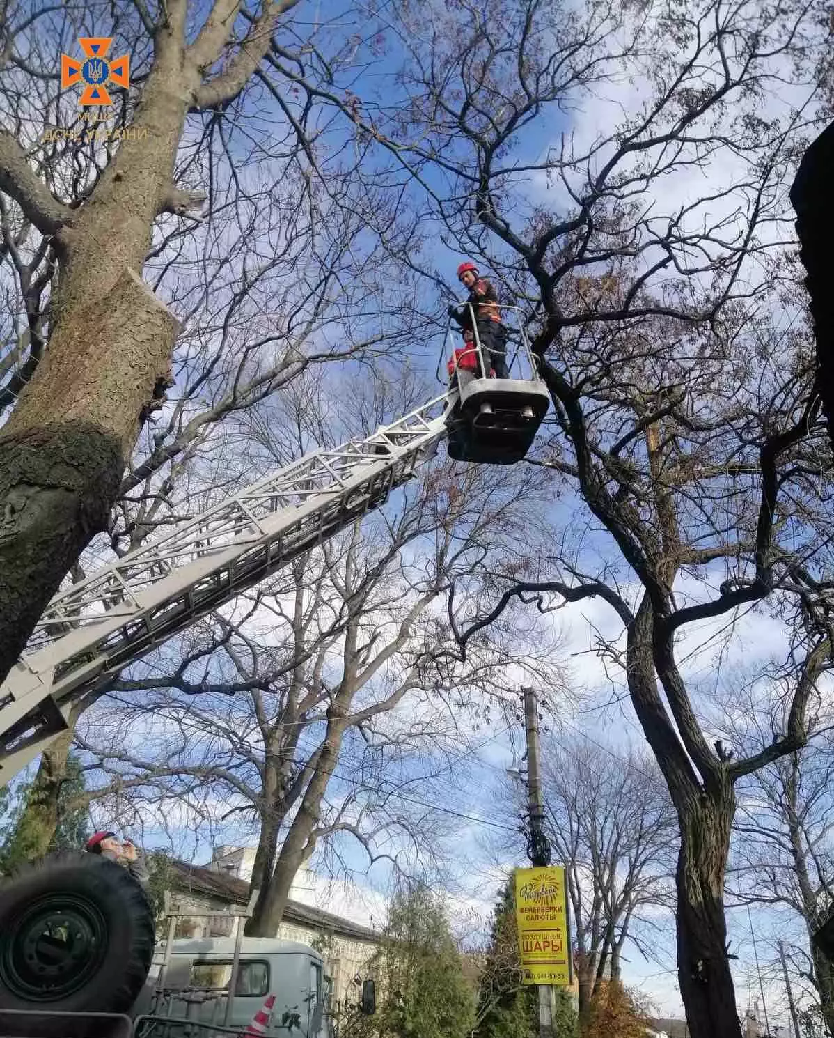401493587-732663268902438-3856060749052055111-n.jpg