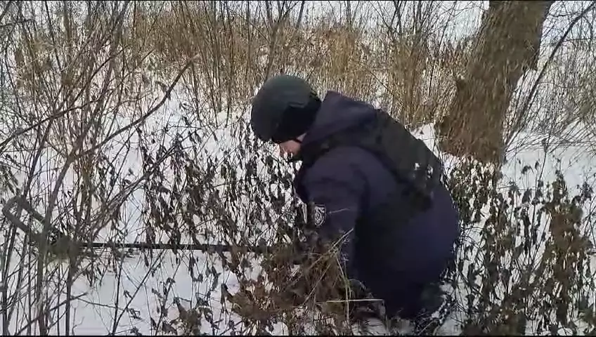 412353702-751852520316846-3833314624307966777-n.jpg