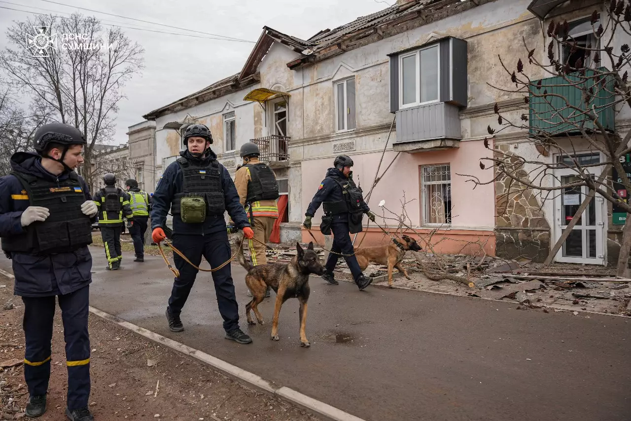 На місці події залучено кінологічні розрахунки.