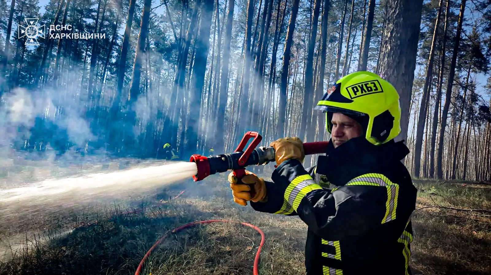Наразі загальна площа знищеної хвойної підстилки лісів перевищує 220 гектарів.