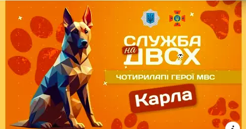 znimok-ekranu-z-2025-05-20-18-25-01.png