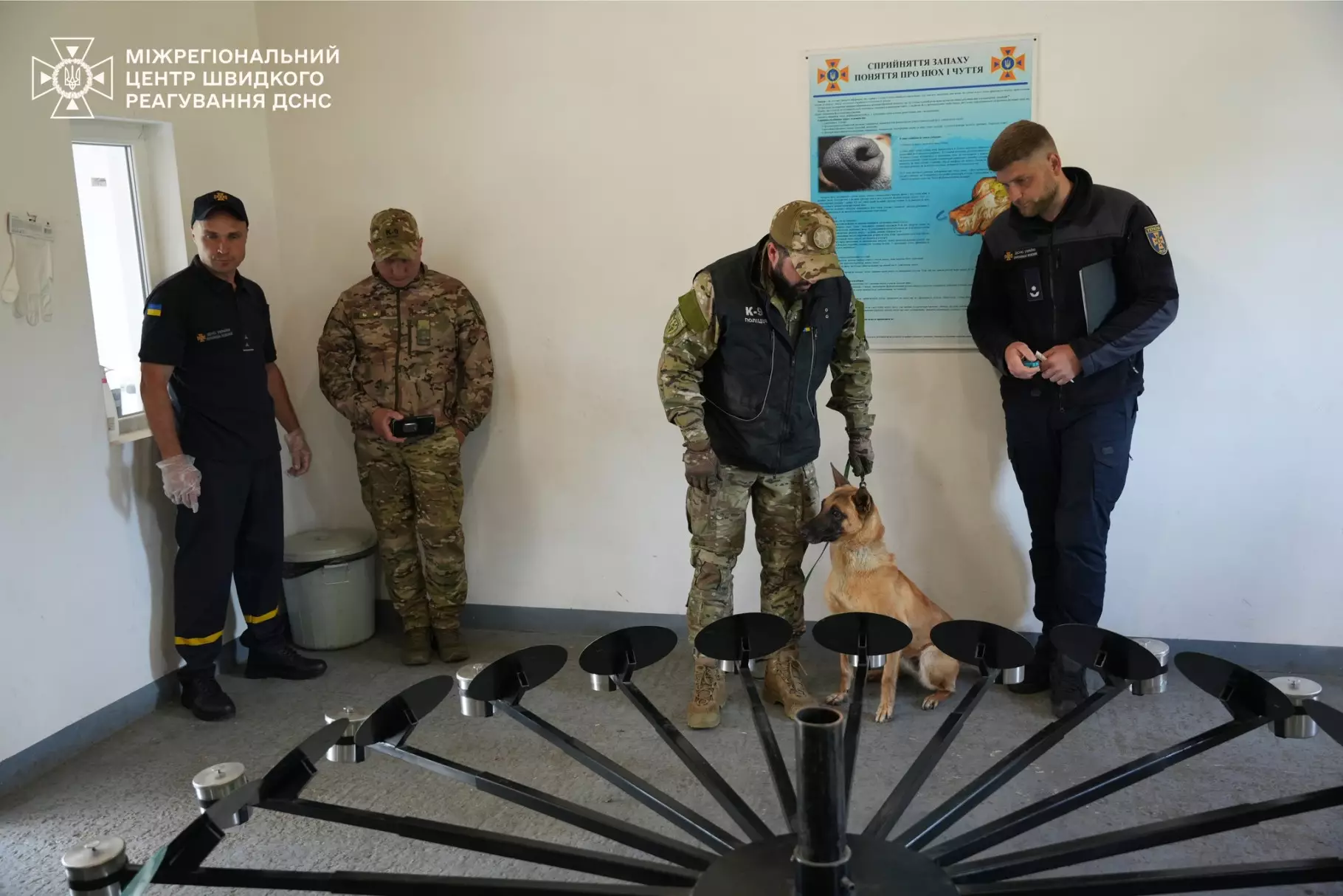 Протягом трьох тижнів інтенсивну підготовку для кінологічних розрахунків Національної поліції України проводив інструктор МЦШР ДСНС України Дмитро Кудашкін.