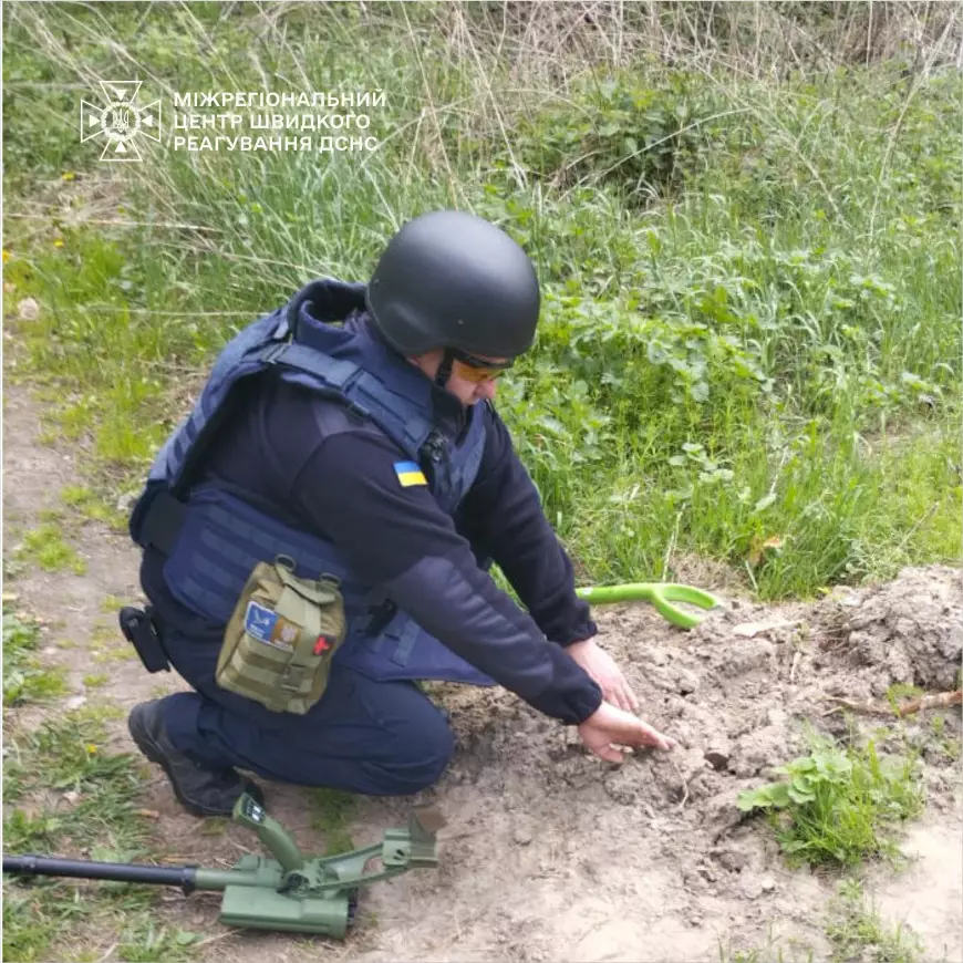 saperi1.jpg