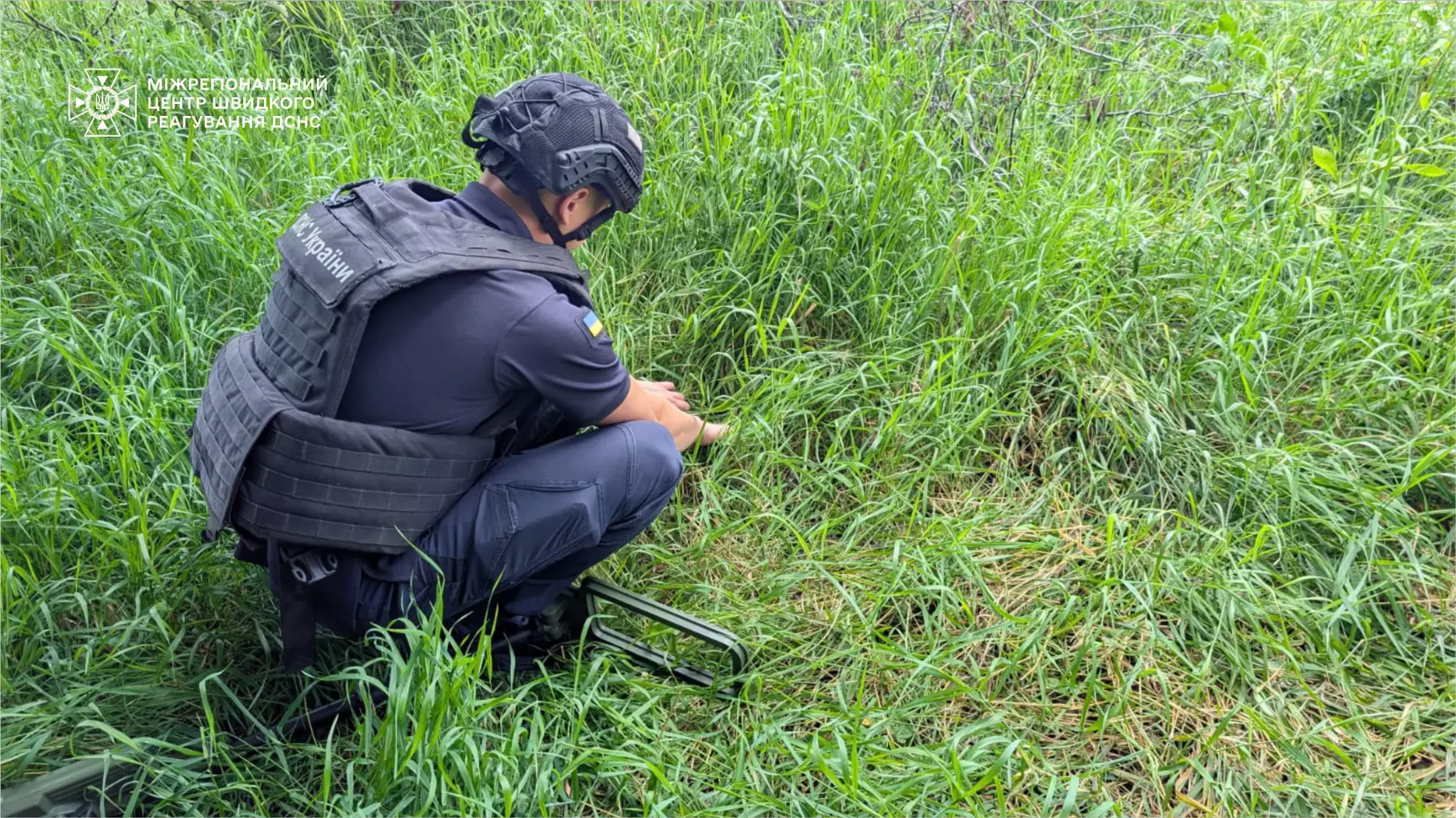 saperi33.jpg