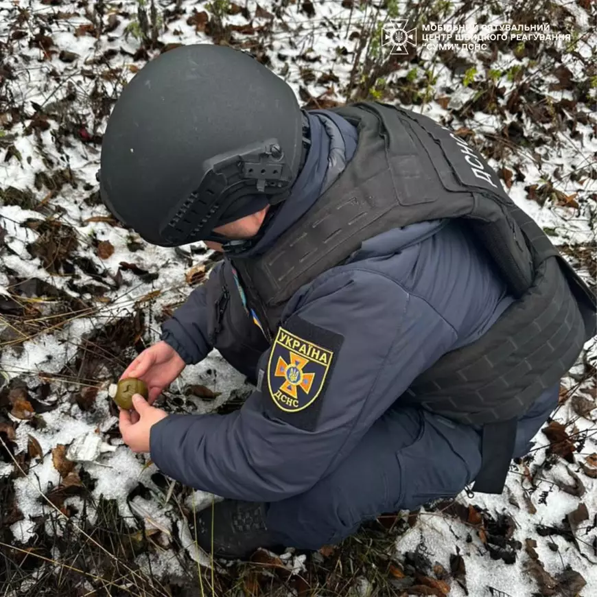 Піротехнічні розрахунки продовжують розміновувати території України.