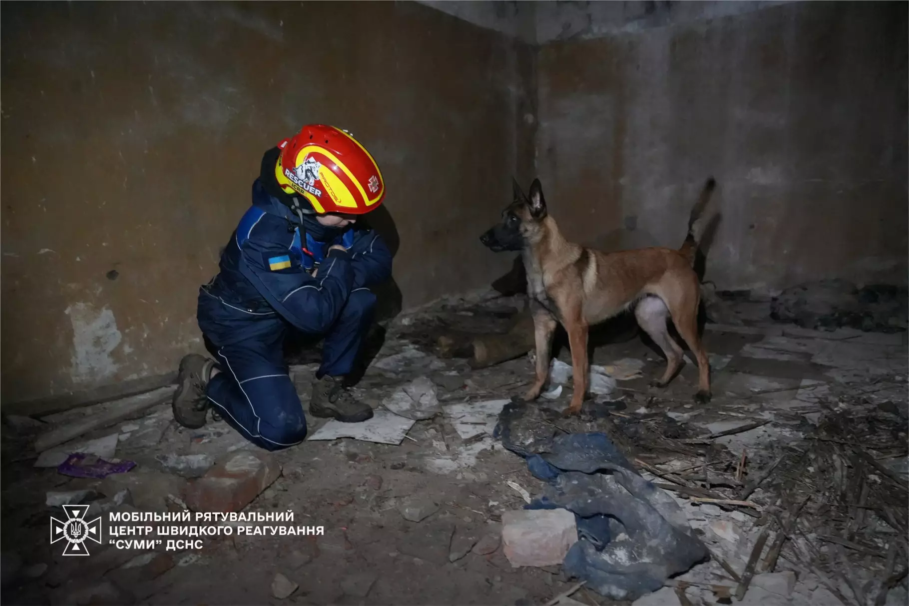 Днями до Мобільного рятувального центру швидкого реагування "Суми" ДСНС України з робочим візитом завітали шведські колеги з Bastard K9, які передали бельгійську вівчарку на ім’я Джин.