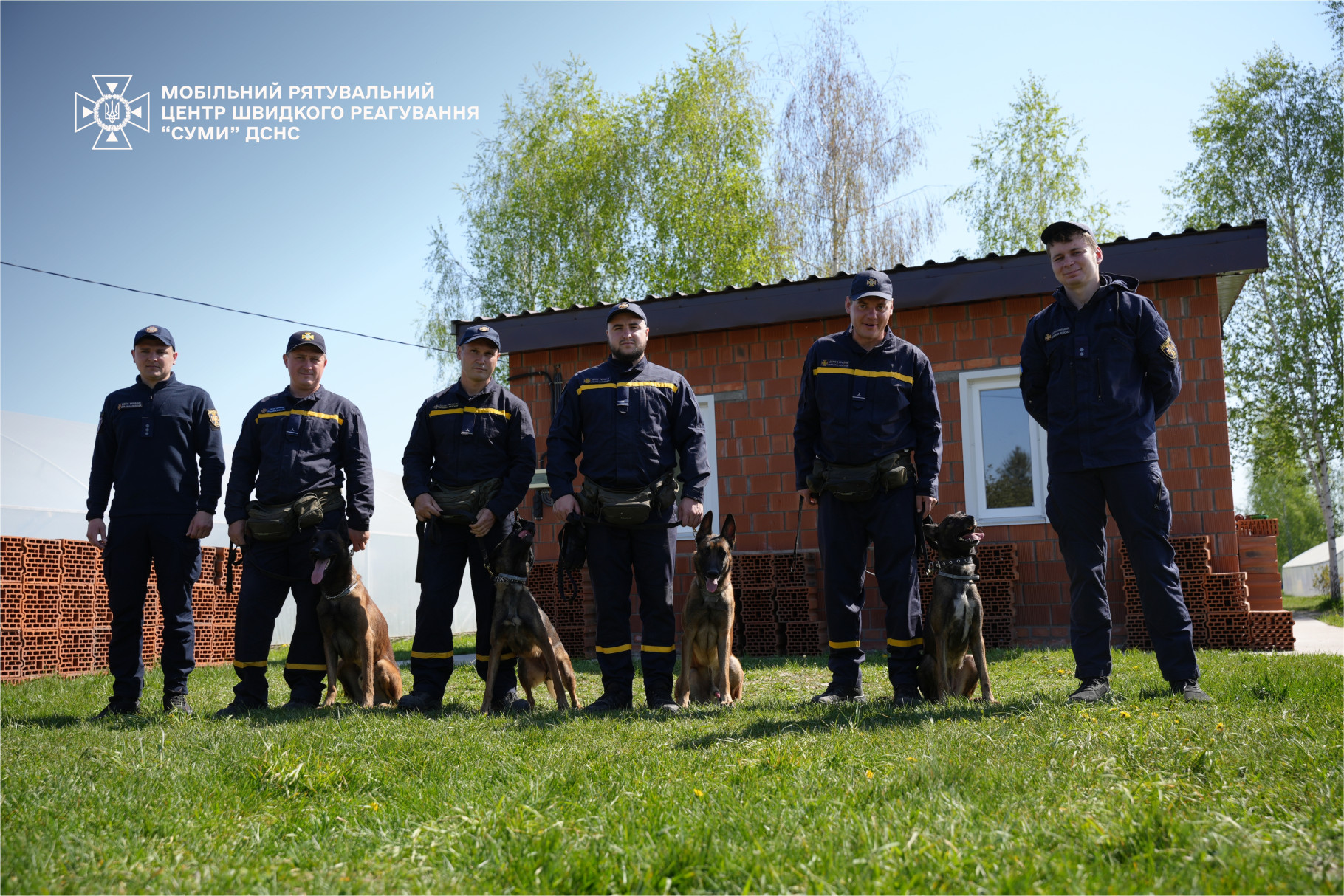 У МРЦ ШР «Суми» триває підготовка чотирилапих помічників, які допомагають рятувальникам у надважливій справі — пошуку вибухонебезпечних предметів.