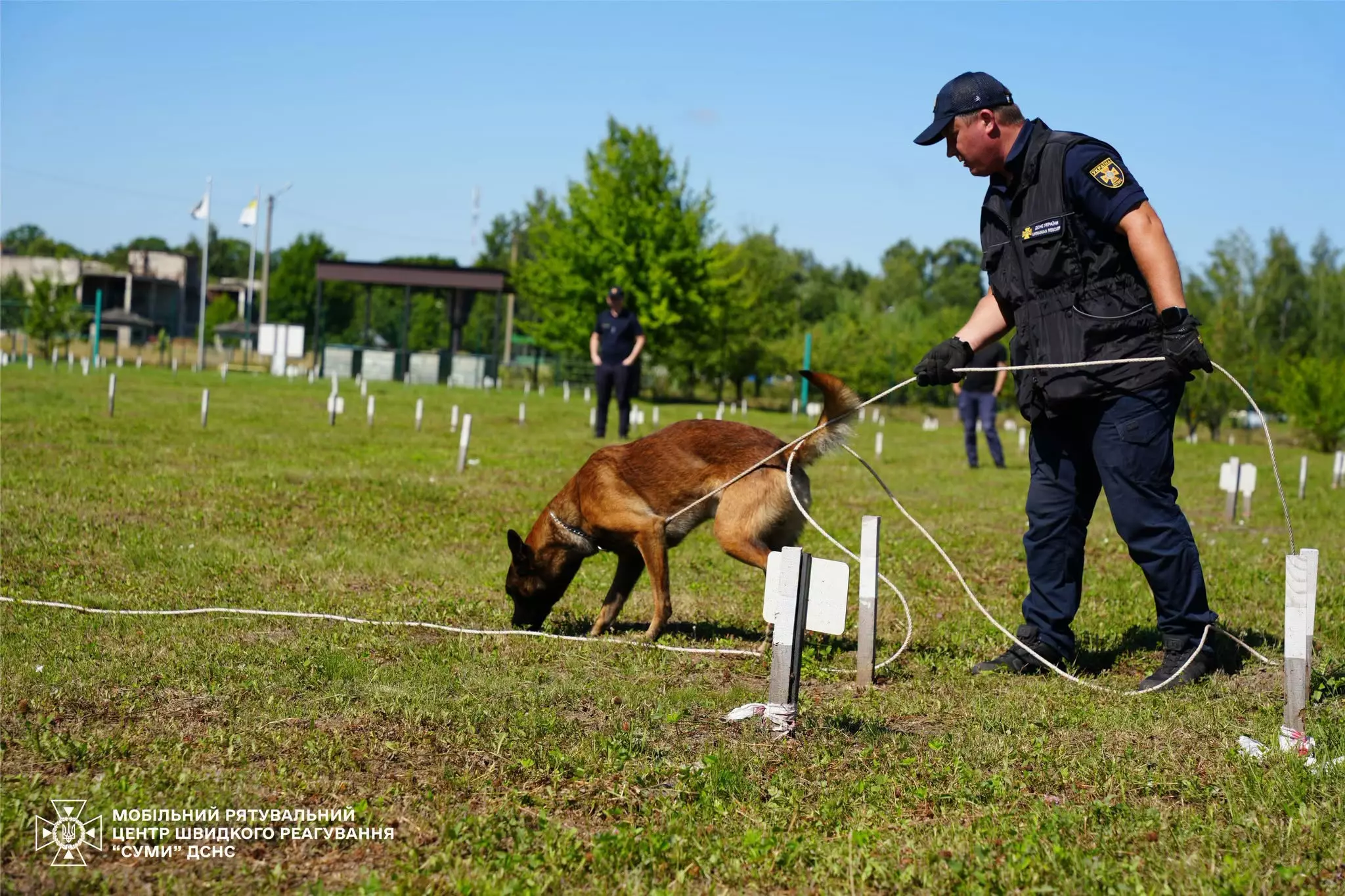 Випуск кінологів, які пройшли курс по розмінуванню територій із використанням мінно-пошукових собак.